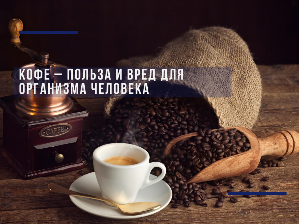 Coffee — benefits, and harm for the human body