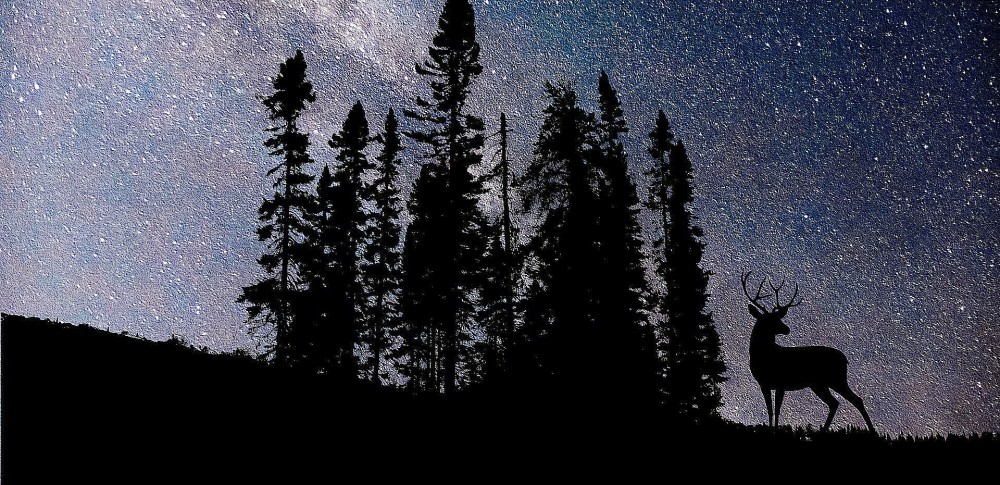 New swirl of astrology is the basis of astrology, the foundation of mathematics, and the theory of biorhythms.